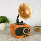 Retro Gramophone Bluetooth Speaker with Rotating Disc