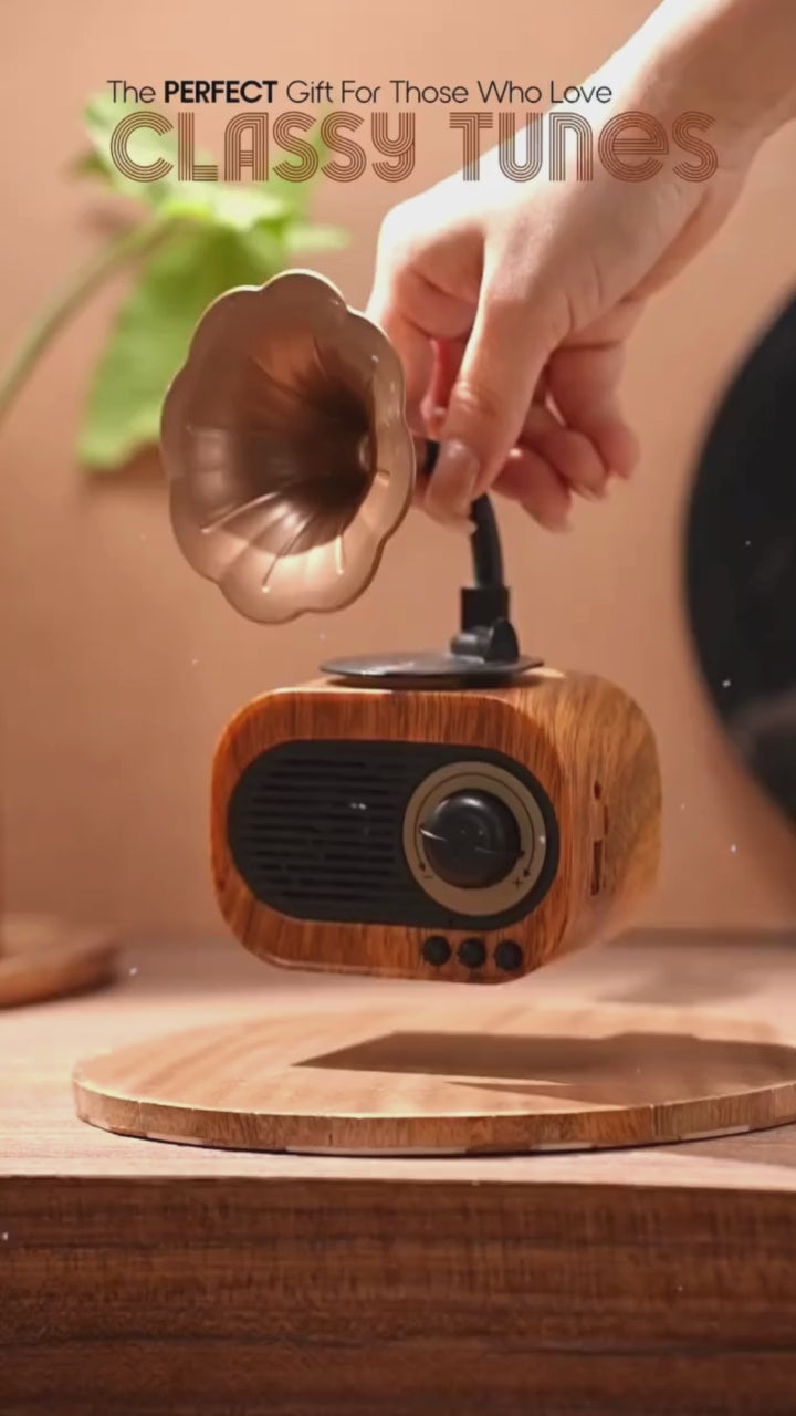 Retro Gramophone Bluetooth Speaker with Rotating Disc